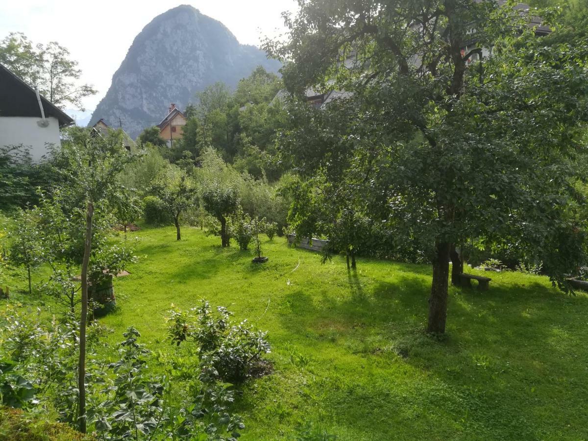 Apartma Pr Pekovcu * Bohinj